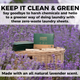 Eco-Friendly Laundry Sheets - Natural & Waste Free (6 Packs of 60 Strips)